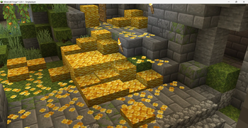 Gold Coins