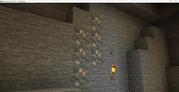 Embedded Fish Fossils