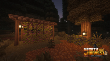 Vineyard