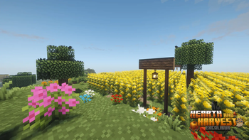 Corn Field