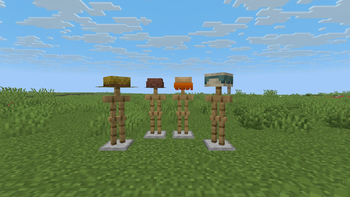 Field
