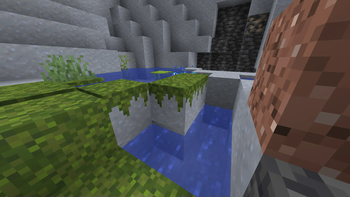Looks amazing in lush caves!