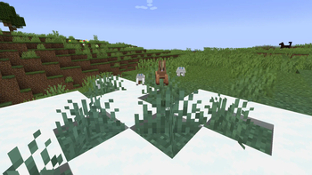 Custom Rabbit Variants Example
