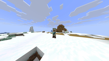 16:10 Villager