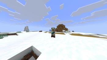 4:3 Villager