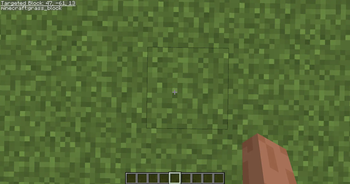 f3 screen with targeted block