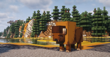 Bison