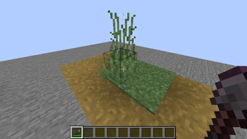 Path Creation