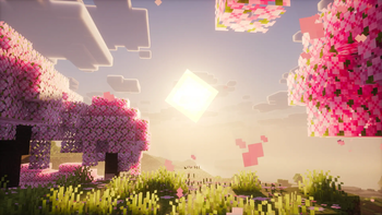 Cherry Blossom Sunrise