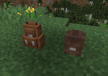 Backpacks
