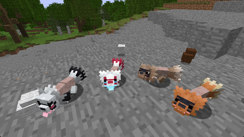 All Shaved Zigzagoons