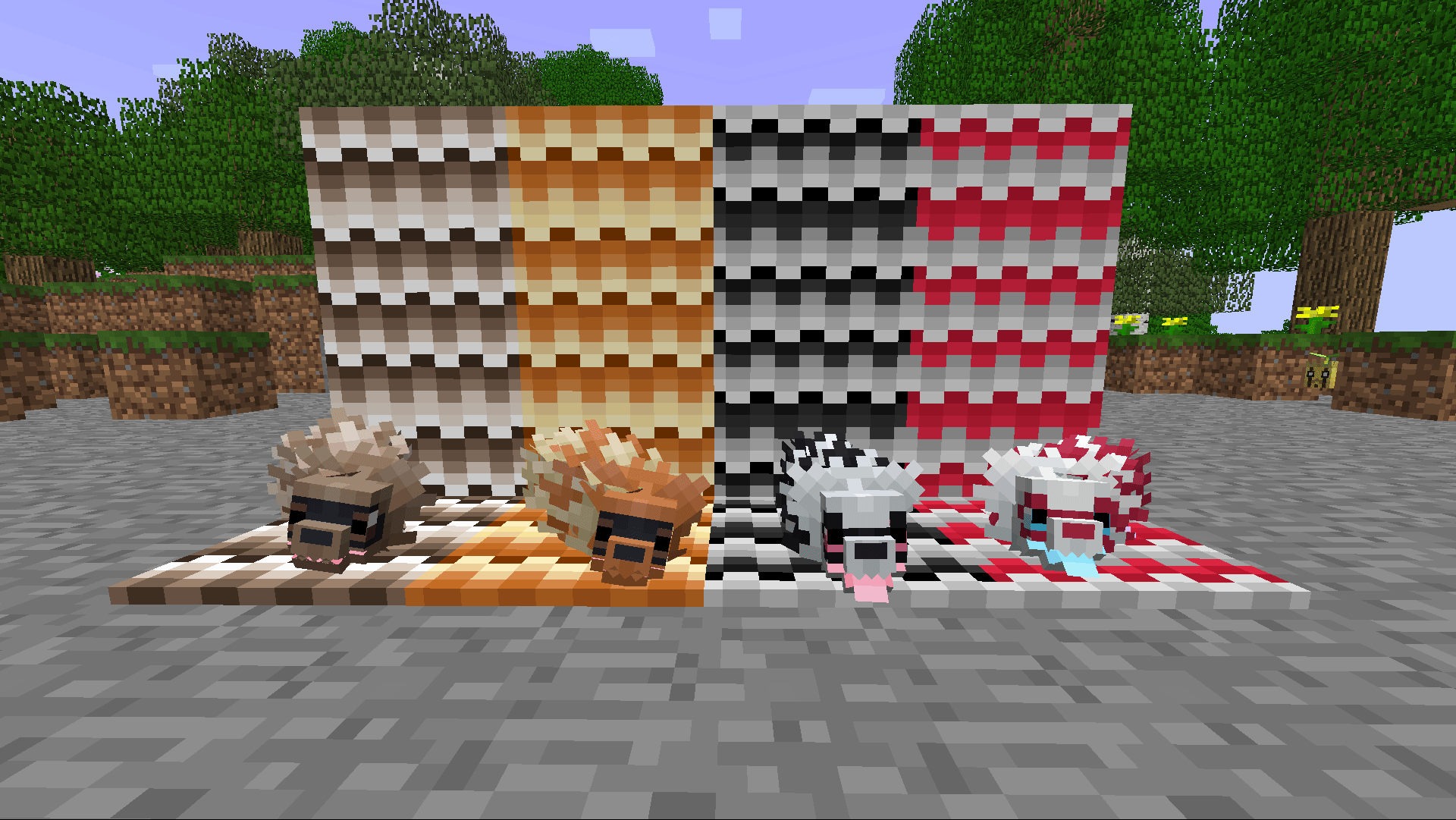 Blocks & Carpets