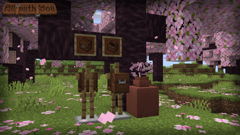 Backpack in MC