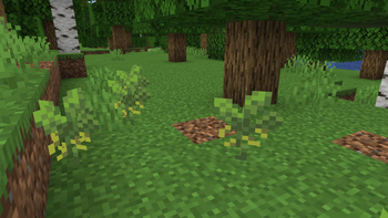 Wild Soybeans