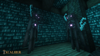 Warped Endermen