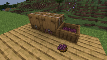 Fermentation