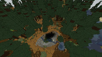Spruce forest