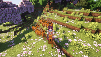 Riding a deer!