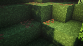 Grass