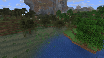 A Swamp and Oak Forest Meeting