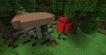 Huge Mushrooms