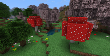 More Huge Mushrooms