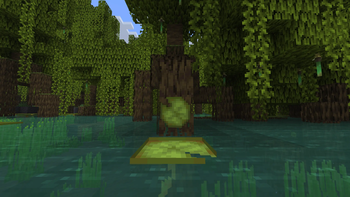 Item Texture