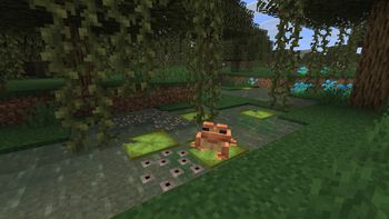 Frog