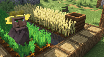 Farm