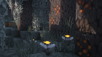 Pale Garden