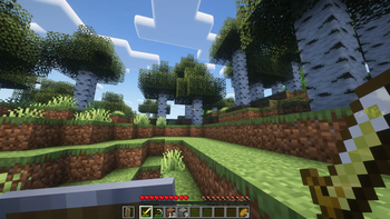 With Resource Pack