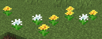 .both versions of the dandelions together!