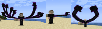 Authority Variants