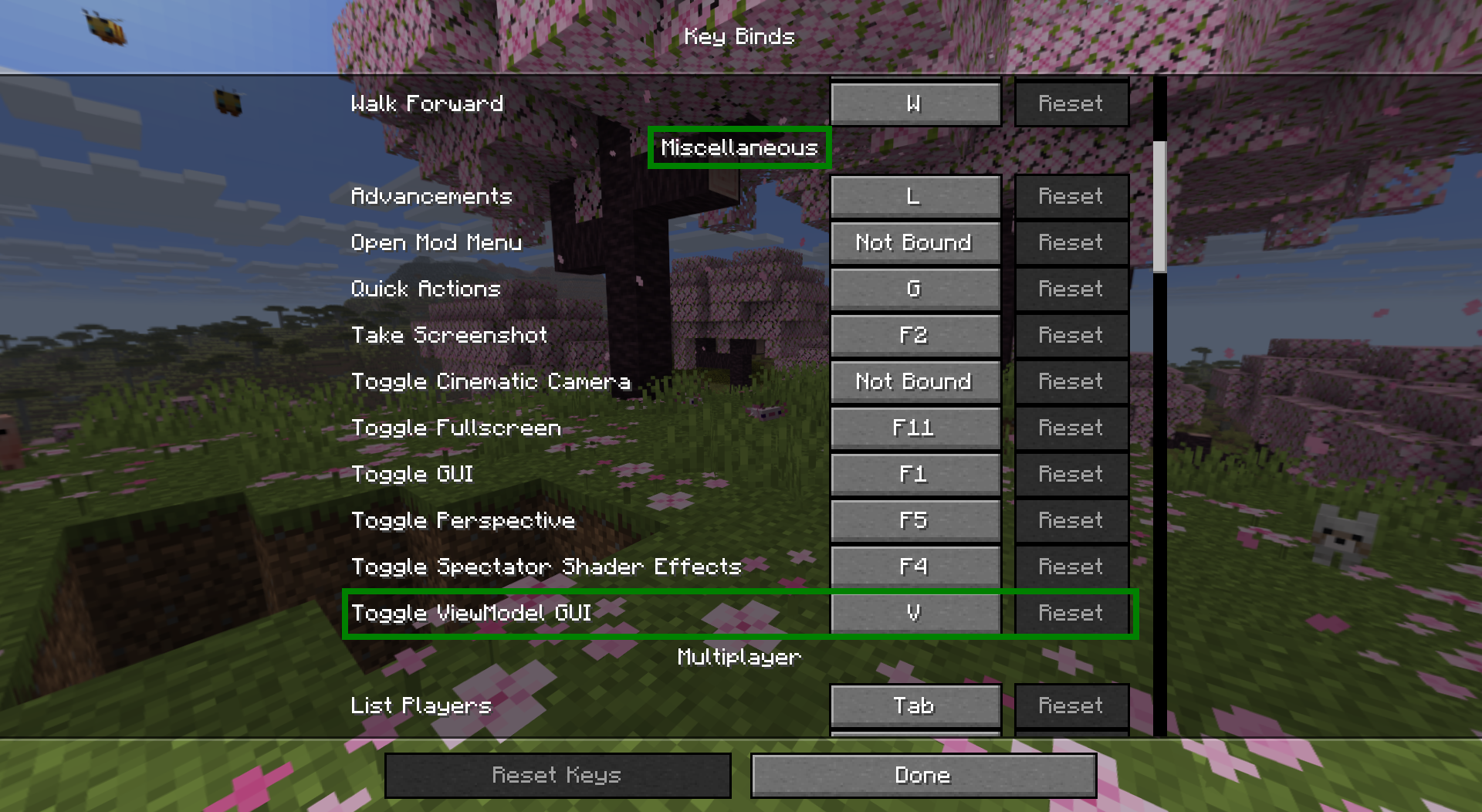 Screenshot showcasing the View Model Keybind Open Menu set to V