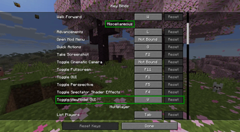 Setting Keybind