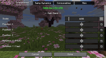 Transforms Settings