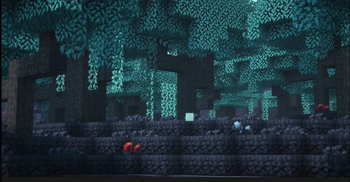 Shaded Forest