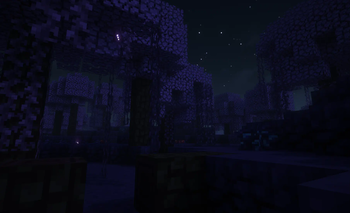 Ecotone
