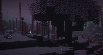 Barrens