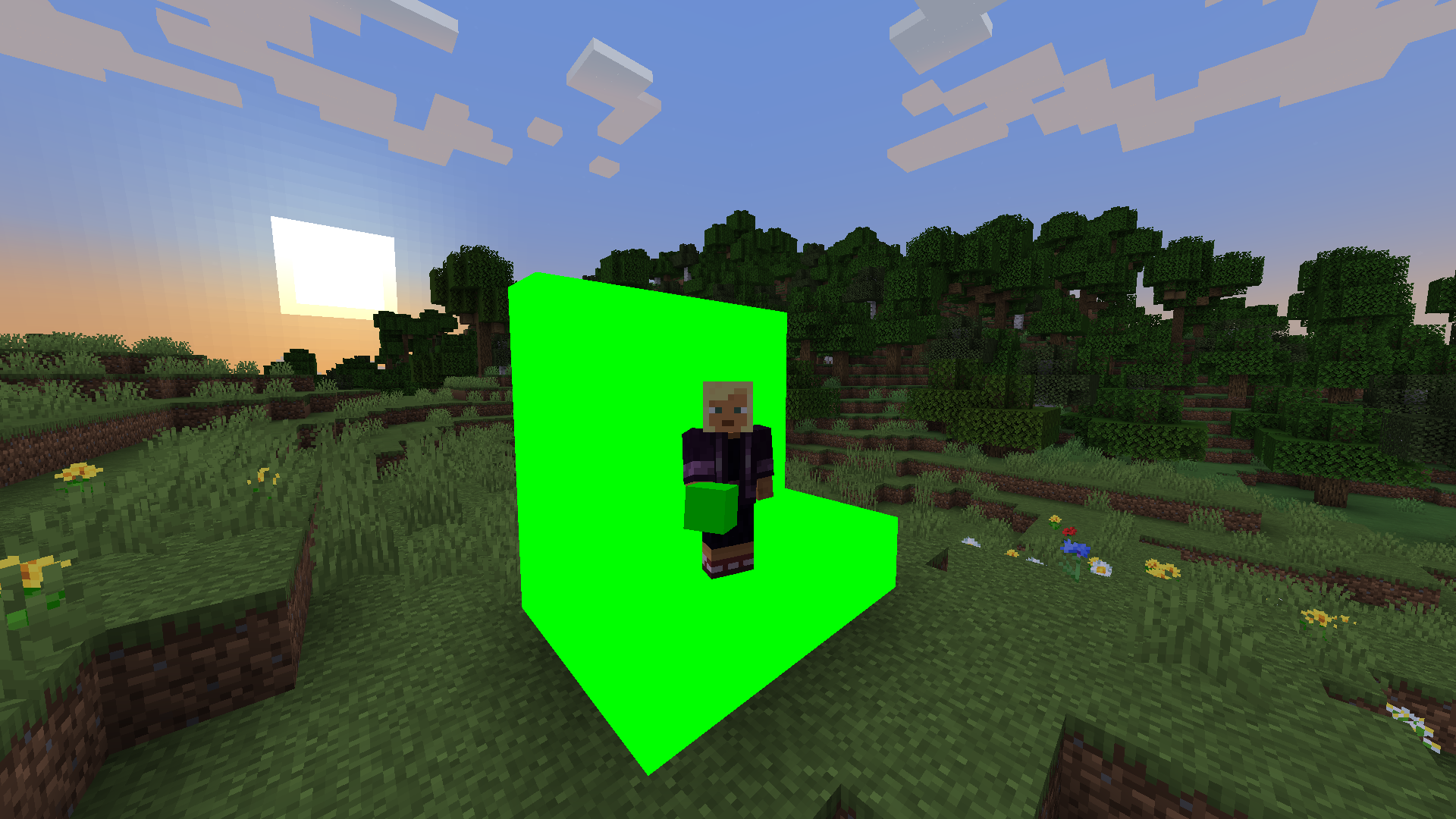 A player standing on a Green Screen Block structure.