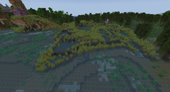 The Marsh