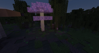 New Mushrooms 
