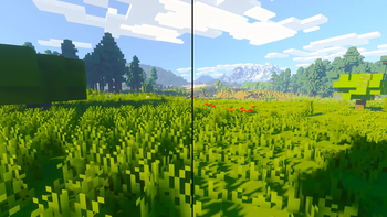 before/after