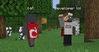 Update 0.8.0