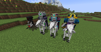 Better Jockeys