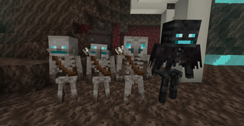 Soulsand Valley Skeletons