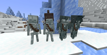 Snowy Skeletons and Strays