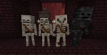 Nether Skeletons and Wither Skeleton
