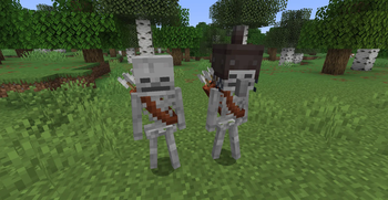 Fresh Normal and Villager Skeletons