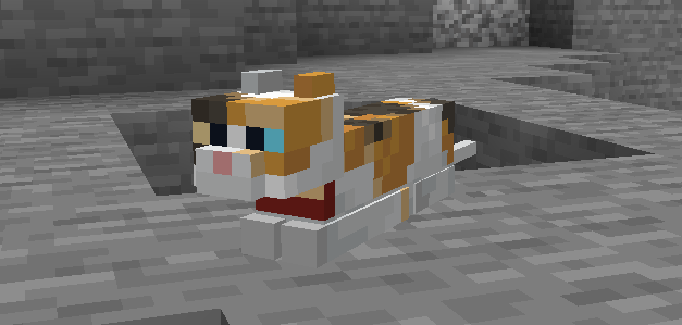 Cat loafing